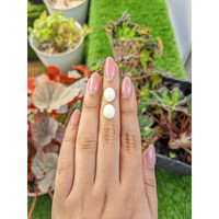 7.54&nbsp;Ct.Tw.Total Carat Weight Salmon and White Cabochon Coral Pair from Italy Life Style