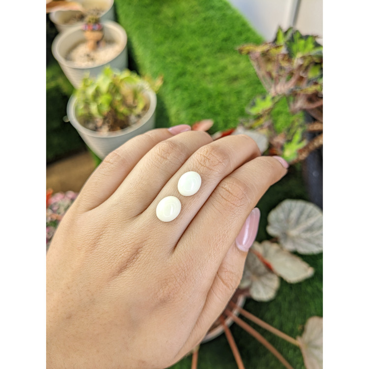 7.54 Ct.Tw. Salmon and White Cabochon Coral Pair from Italy