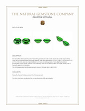 0.85&nbsp;Ct.Tw.Total Carat Weight Tsavorite Garnet Pair from Tanzania Appraisal