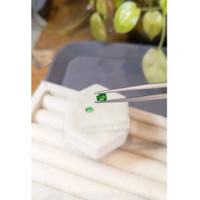 0.73 Ct.Tw.Total Carat Weight Tsavorite Garnet Pair from Tanzania Life Style