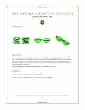 1.00&nbsp;Ct.Tw.Total Carat Weight Tsavorite Garnet Pair from Tanzania Appraisal