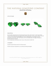 1.01&nbsp;Ct.Tw.Total Carat Weight Tsavorite Garnet Pair from Tanzania Appraisal