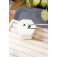 1.01&nbsp;Ct.Tw.Total Carat Weight Tsavorite Garnet Pair from Tanzania Life Style