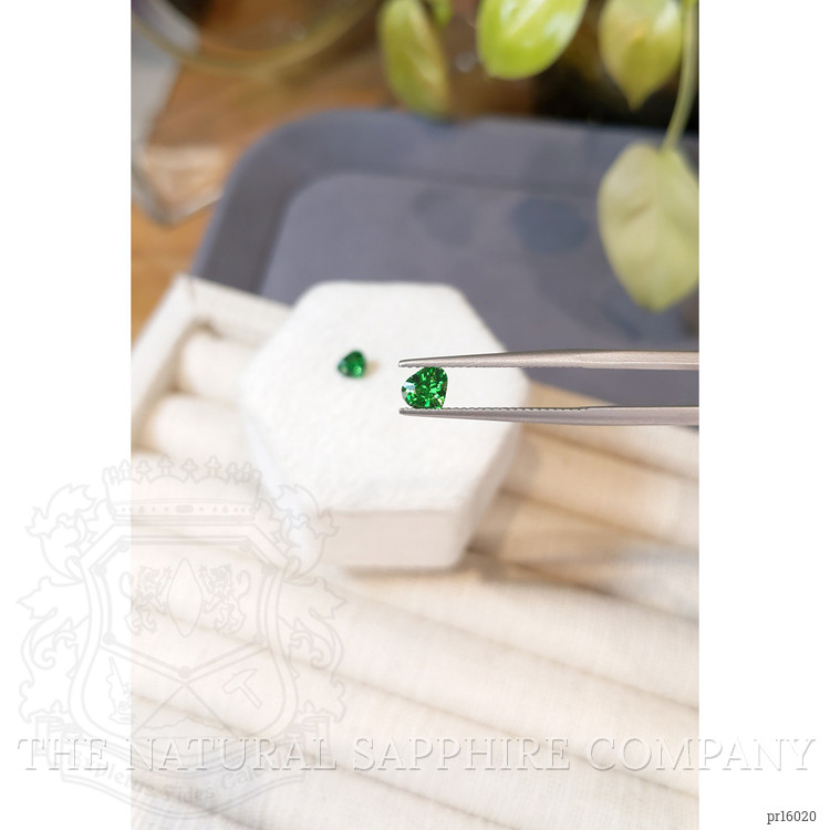 1.01 Ct.Tw. Tsavorite Garnet Pair from Tanzania