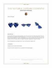 4.06 Ct.Tw.Total Carat Weight Blue Sapphire Pair from Ceylon (Sri Lanka) Appraisal