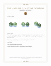15.18&nbsp;Ct.Tw.Total Carat Weight Green Jade Pair from Burma (Myanmar) Appraisal