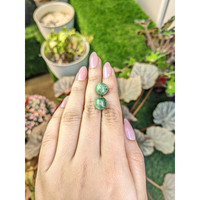 15.21&nbsp;Ct.Tw.Total Carat Weight Green Jade Pair from Burma (Myanmar) Life Style