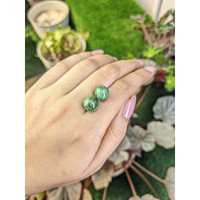 15.21&nbsp;Ct.Tw.Total Carat Weight Green Jade Pair from Burma (Myanmar) Life Style