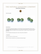 15.00&nbsp;Ct.Tw.Total Carat Weight Green Jade Pair from Burma (Myanmar) Appraisal