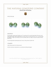14.93 Ct.Tw.Total Carat Weight Green Jade Pair from Burma (Myanmar) Appraisal