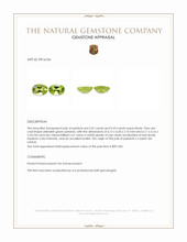 0.90&nbsp;Ct.Tw.Total Carat Weight Yellowish Green Peridot Pair from Ceylon (Sri Lanka) Appraisal