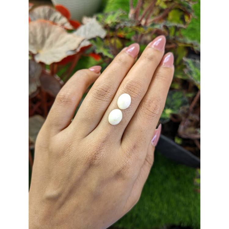 6.84 Ct.Tw. Salmon and White Cabochon Coral Pair from Italy