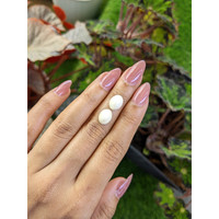 6.84 Ct.Tw.Total Carat Weight Salmon and White Cabochon Coral Pair from Italy Life Style