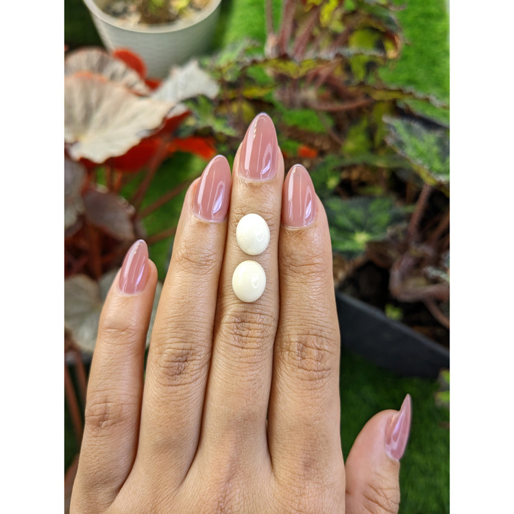 6.55 Ct.Tw. Salmon and White Cabochon Coral Pair from Italy