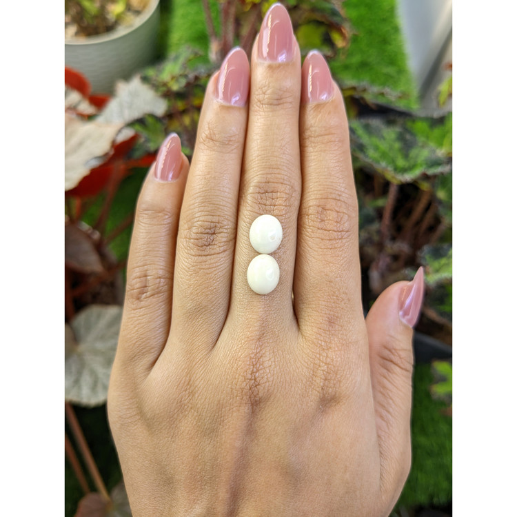 5.68 Ct.Tw. Salmon and White Cabochon Coral Pair from Italy