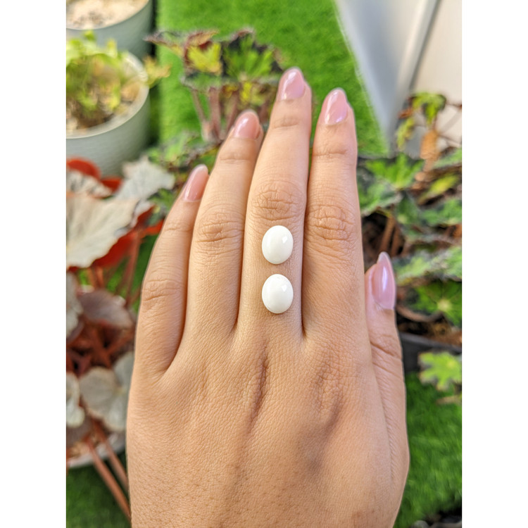 6.40 Ct.Tw. Salmon and White Cabochon Coral Pair from Italy