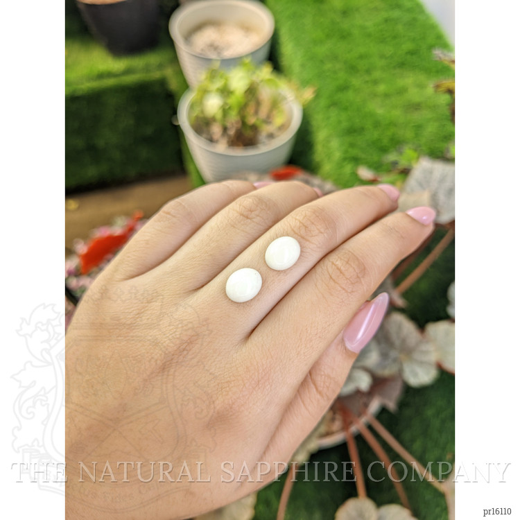 6.40 Ct.Tw. Salmon and White Cabochon Coral Pair from Italy