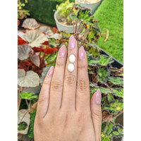 6.30 Ct.Tw.Total Carat Weight Salmon and White Cabochon Coral Pair from Italy Life Style