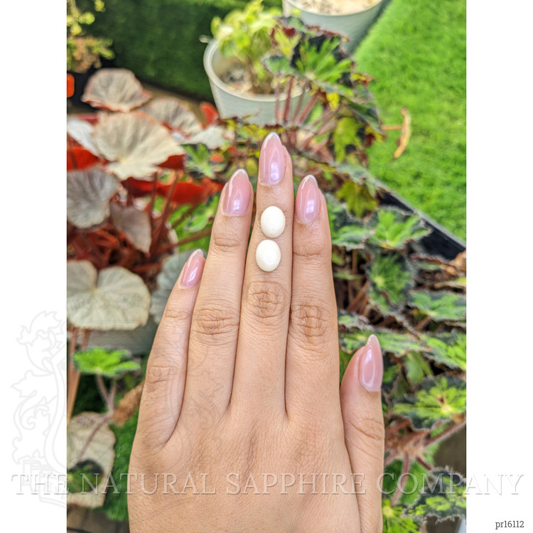 6.30 Ct.Tw. Salmon and White Cabochon Coral Pair from Italy