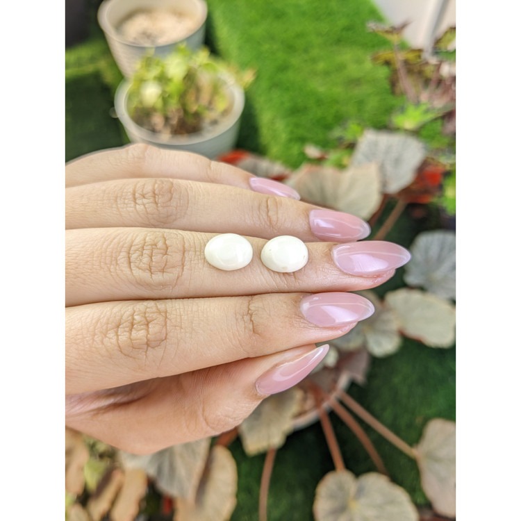 6.30 Ct.Tw. Salmon and White Cabochon Coral Pair from Italy