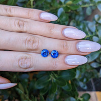 3.50&nbsp;Ct.Tw.Total Carat Weight Blue Sapphire Pair from Ceylon (Sri Lanka) Life Style