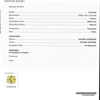22.16&nbsp;Ct.Tw.Total Carat Weight Yellow Sapphire Pair from Ceylon (Sri Lanka) Scan Report