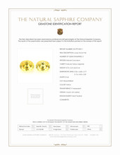 Jewelry Scan Report