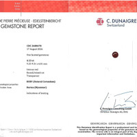 8.16 Ct.Tw.Total Carat Weight Ruby Pair from Burma (Myanmar) Pdf