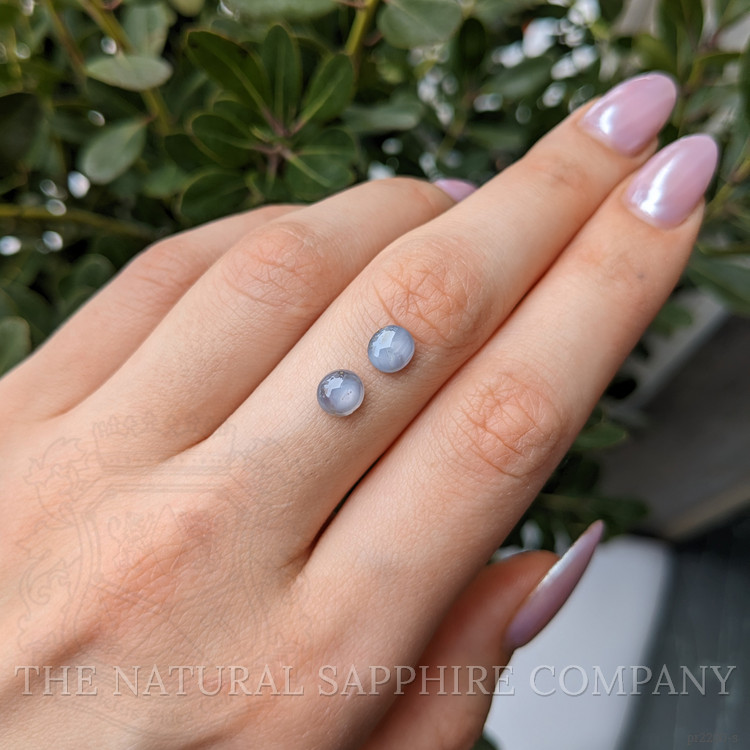 2.48 Ct.Tw. Grey Star Sapphire Pair from Ceylon (Sri Lanka)