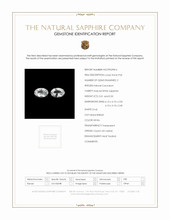 Jewelry Scan Report