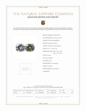 Jewelry Scan Report