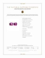 Jewelry Scan Report