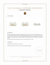 8.42 Ct.Tw.Total Carat Weight White Star Sapphire Pair from Ceylon (Sri Lanka) Appraisal