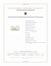 Jewelry Scan Report