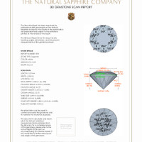 Jewelry 3 D Scan Report