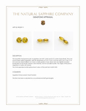 Jewelry Appraisal