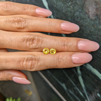 1.59&nbsp;Ct.Tw.Total Carat Weight Yellow Sapphire Pair from Ceylon (Sri Lanka) Life Style