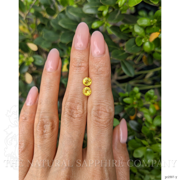 1.59 Ct.Tw. Yellow Sapphire Pair from Ceylon (Sri Lanka)