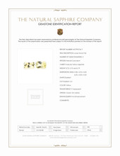 Jewelry Scan Report