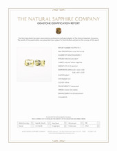 Jewelry Scan Report