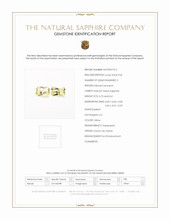 Jewelry Scan Report