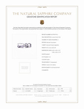 Jewelry Scan Report