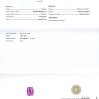 Jewelry Scan Report