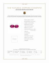 Jewelry Scan Report