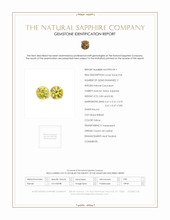Jewelry Scan Report