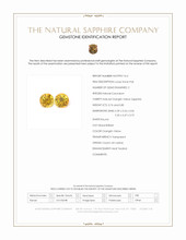 1.56&nbsp;Ct.Tw.Total Carat Weight Orangish Yellow Sapphire Pair from Ceylon (Sri Lanka) Scan Report