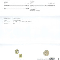 Jewelry Scan Report