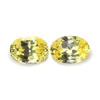 1.82 Ct.Tw.Total Carat Weight Yellow Sapphire Pair from Ceylon (Sri Lanka) Video