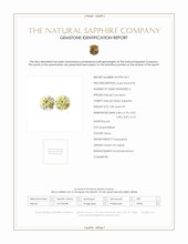 Jewelry Scan Report