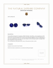 9.07&nbsp;Ct.Tw.Total Carat Weight Blue Sapphire Pair from Ceylon (Sri Lanka) Appraisal